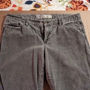 Ann Taylor Loft boot-cut corduroys, Size 16